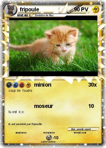 Pokemon fripoule