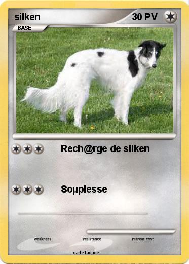 Pokemon silken