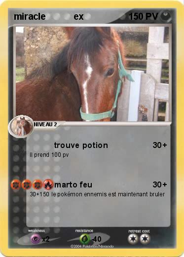 Pokemon miracle           ex