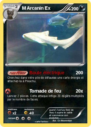 Pokemon M Arcanin Ex
