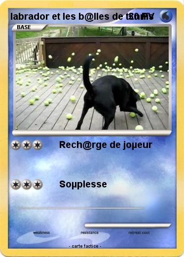 Pokemon labrador et les b@lles de t£nnis