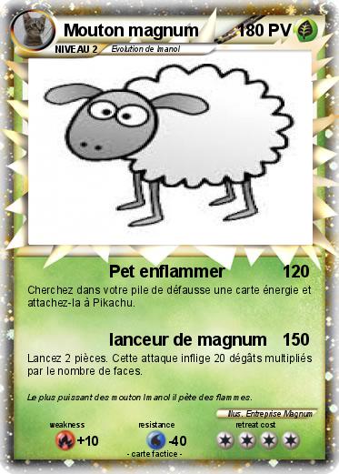 Pokemon Mouton magnum