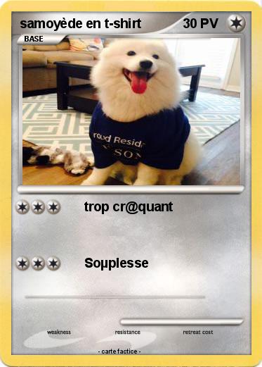 Pokemon samoyède en t-shirt