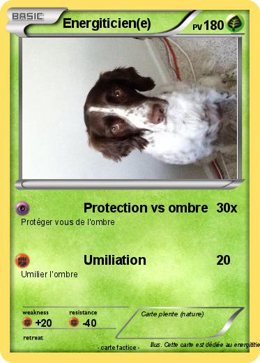 Pokemon Energiticien(e)