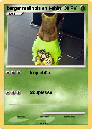 Pokemon berger malinois en t-shirt