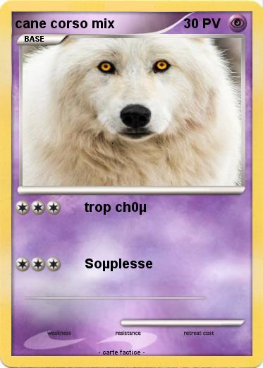 Pokemon cane corso mix