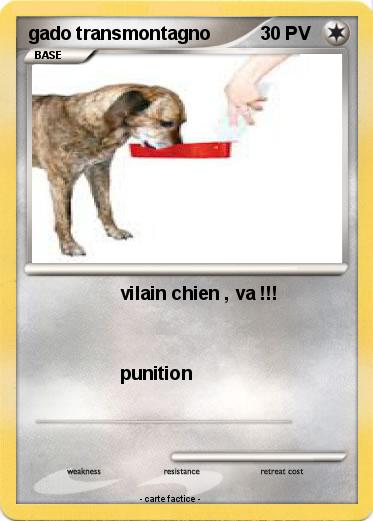 Pokemon gado transmontagno