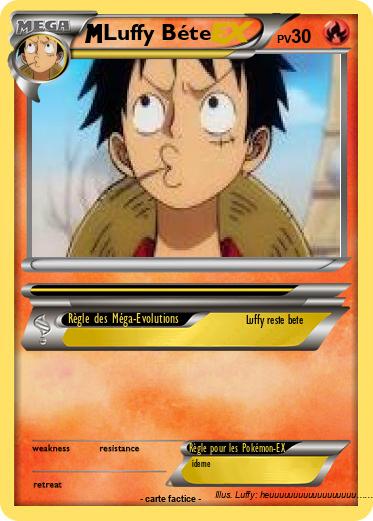 Pokemon Luffy Béte