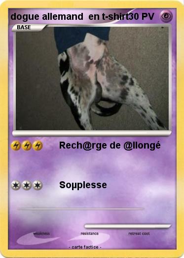 Pokemon dogue allemand  en t-shirt