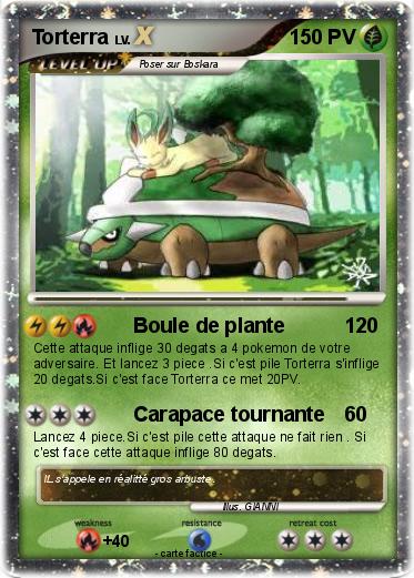 Pokemon Torterra