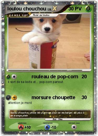 Pokemon loulou chouchou