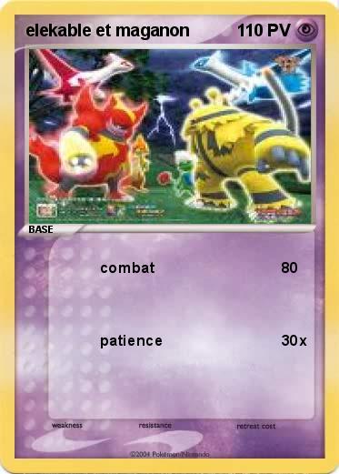 Pokemon elekable et maganon