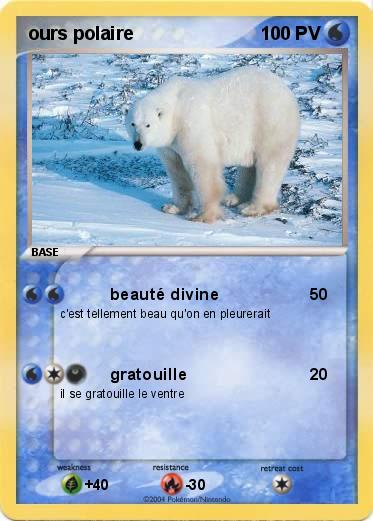 Pokemon ours polaire