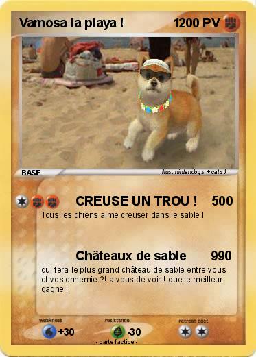 Pokemon Vamosa la playa !              1