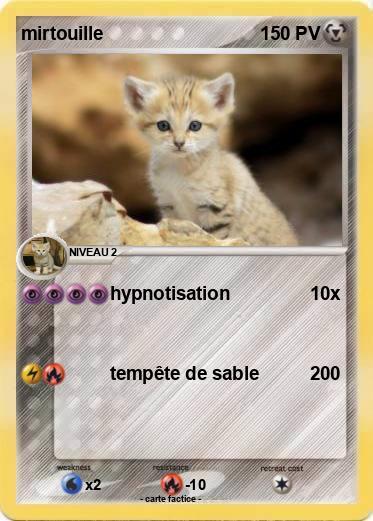 Pokemon mirtouille
