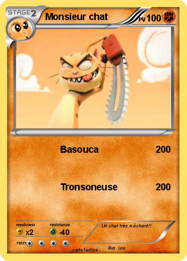 Pokemon Monsieur chat