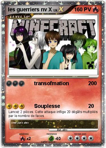 Pokemon les guerriers nv X