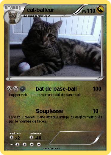 Pokemon cat-balleur