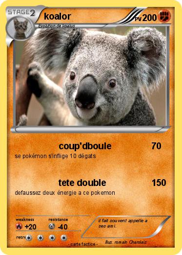 Pokemon koalor