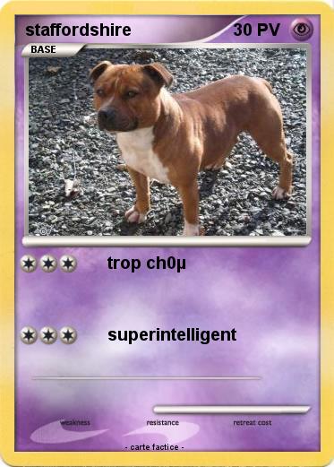 Pokemon staffordshire