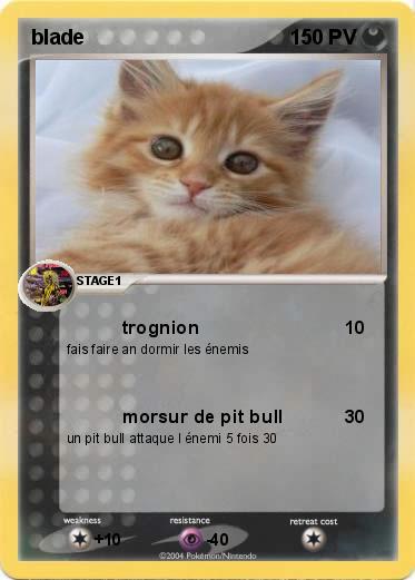 Pokemon blade