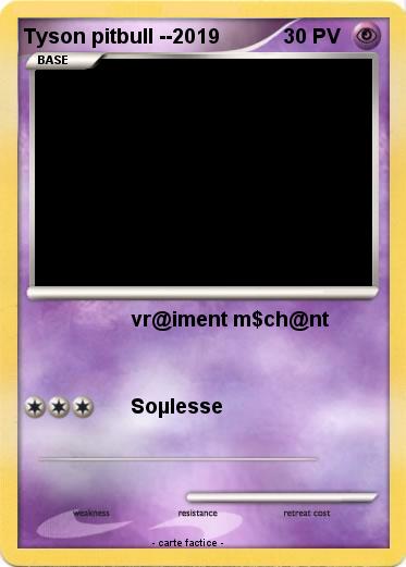 Pokemon Tyson pitbull --2019