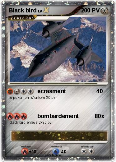Pokemon Black bird