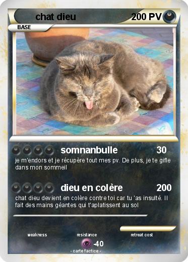 Pokemon chat dieu