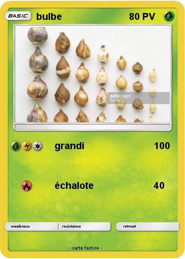 Pokemon bulbe