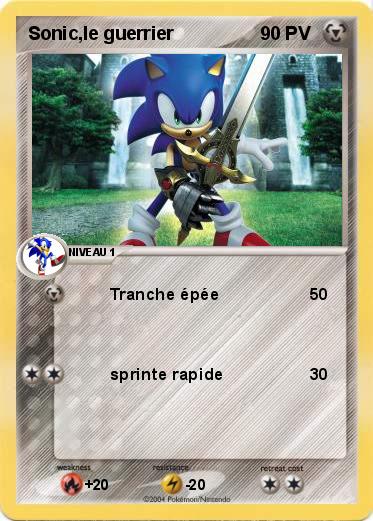 Pokemon Sonic,le guerrier