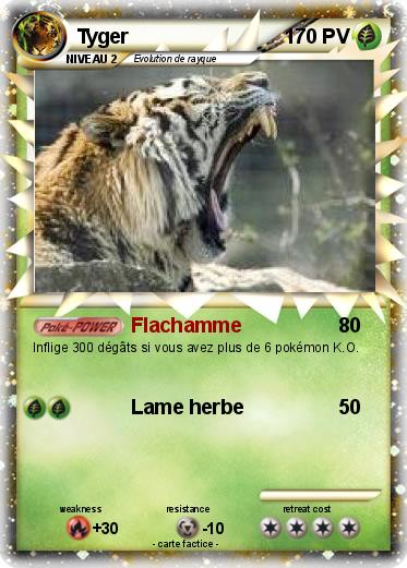 Pokemon Tyger