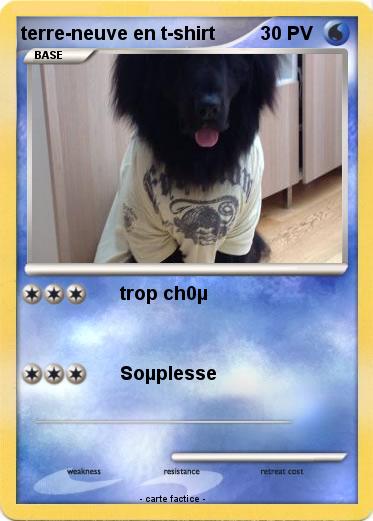 Pokemon terre-neuve en t-shirt