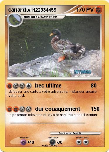Pokemon canard