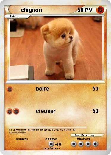 Pokemon chignon