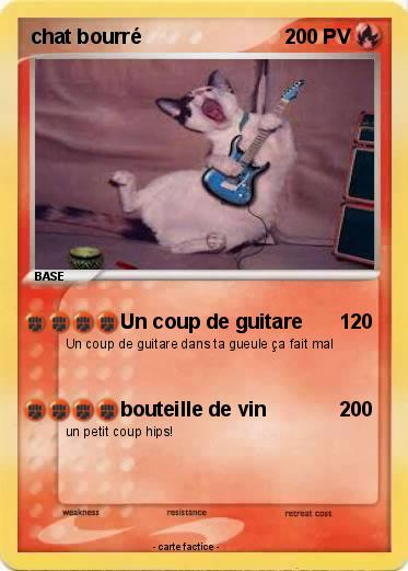 Pokemon chat bourré
