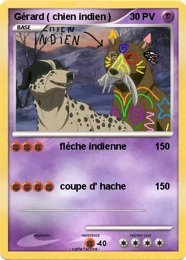 Pokemon Gérard ( chien indien )