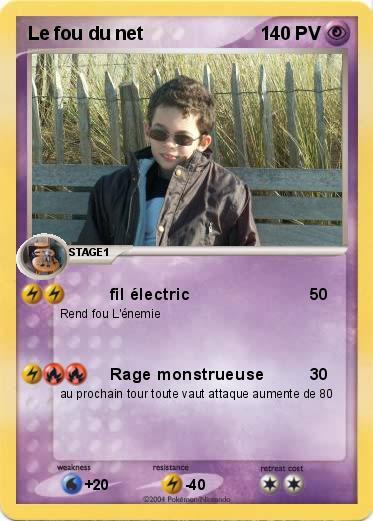 Pokemon Le fou du net