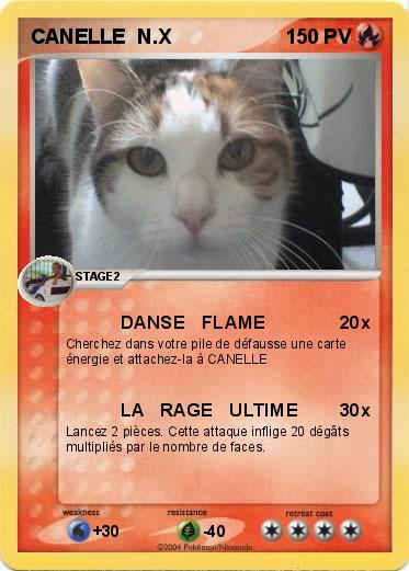 Pokemon CANELLE  N.X