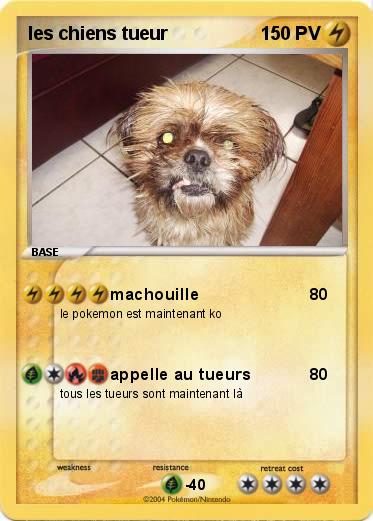 Pokemon les chiens tueur