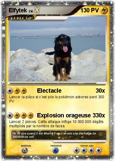Pokemon Elfytek