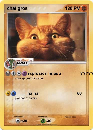 Pokemon chat gros