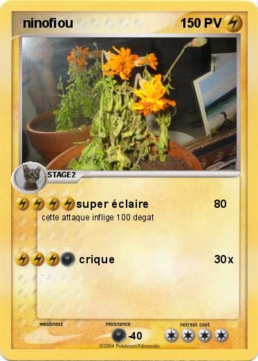 Pokemon  ninofiou
