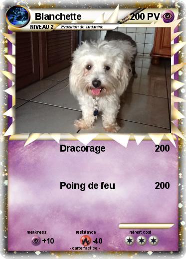Pokemon Blanchette