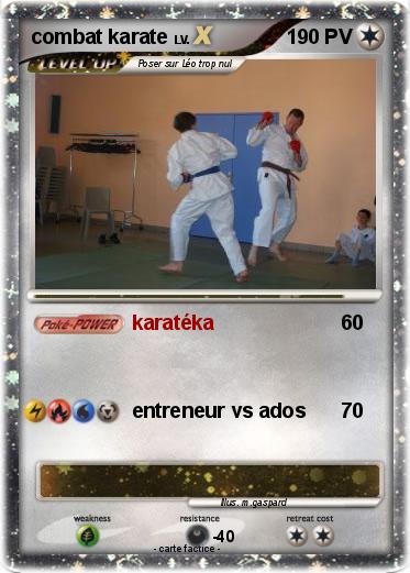 Pokemon combat karate