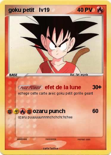 Pokemon goku petit   lv19