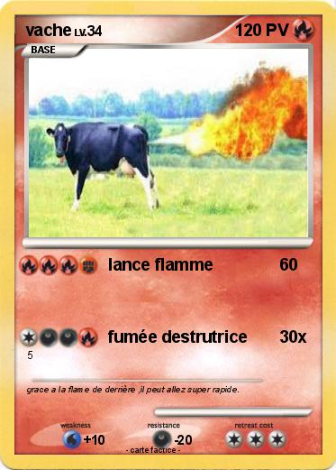 Pokemon vache