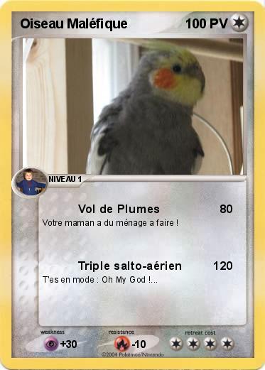 Pokemon Oiseau Maléfique