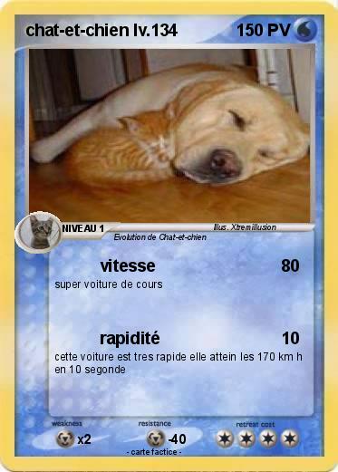 Pokemon chat-et-chien lv.134