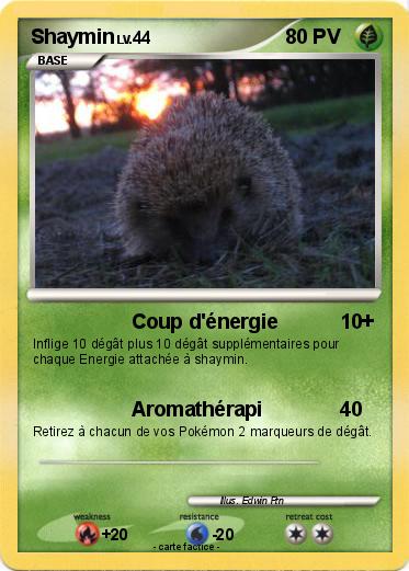 Pokemon Shaymin