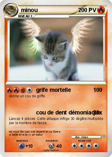 Pokemon minou